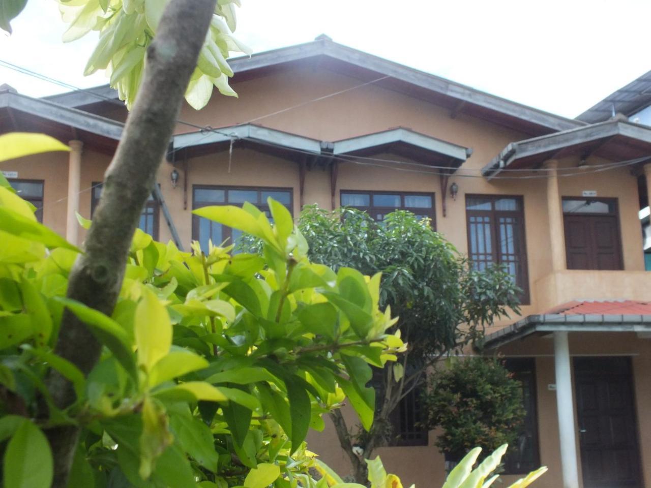 Hillsview Rest & Guest House Matale Dış mekan fotoğraf