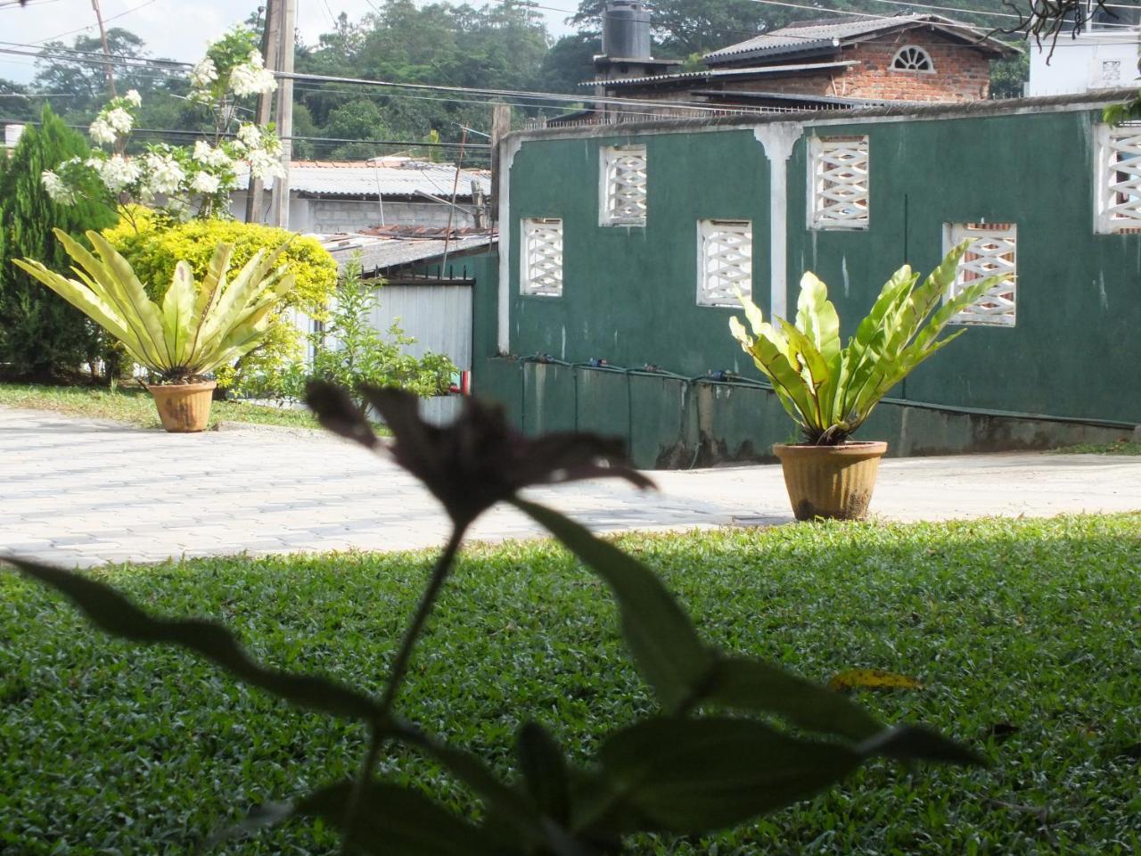 Hillsview Rest & Guest House Matale Dış mekan fotoğraf
