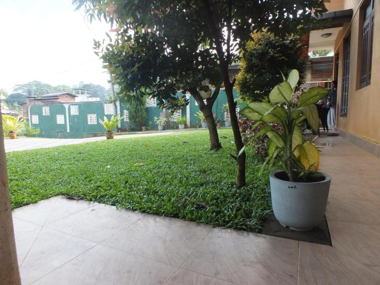 Hillsview Rest & Guest House Matale Dış mekan fotoğraf