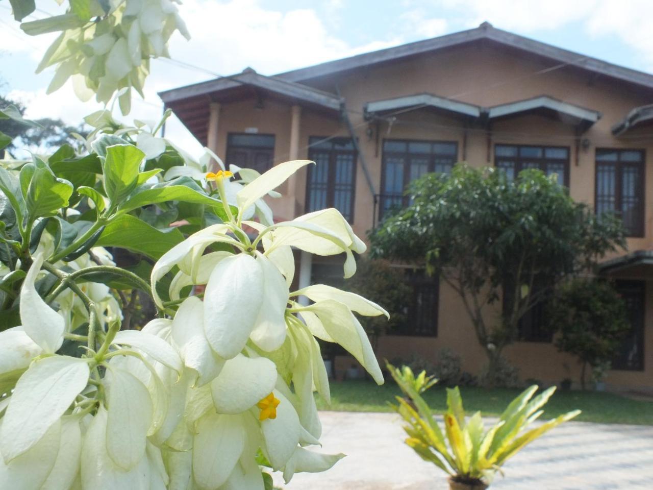 Hillsview Rest & Guest House Matale Dış mekan fotoğraf